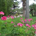 Paola *