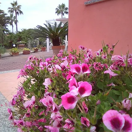 Casa de Férias Paola Loano